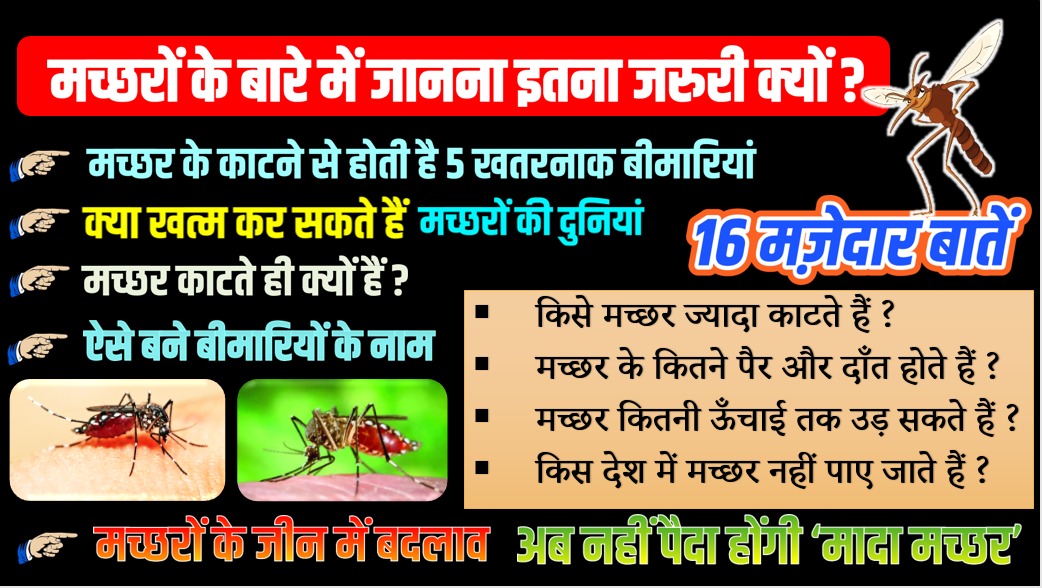 मच्छरों के बारे में जानना जरुरी क्यों ? 16 मज़ेदार बातें | Nitin Sir Study91
